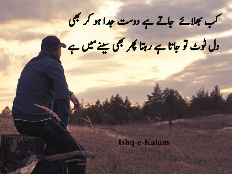 top 10 friendship poetry in urdu