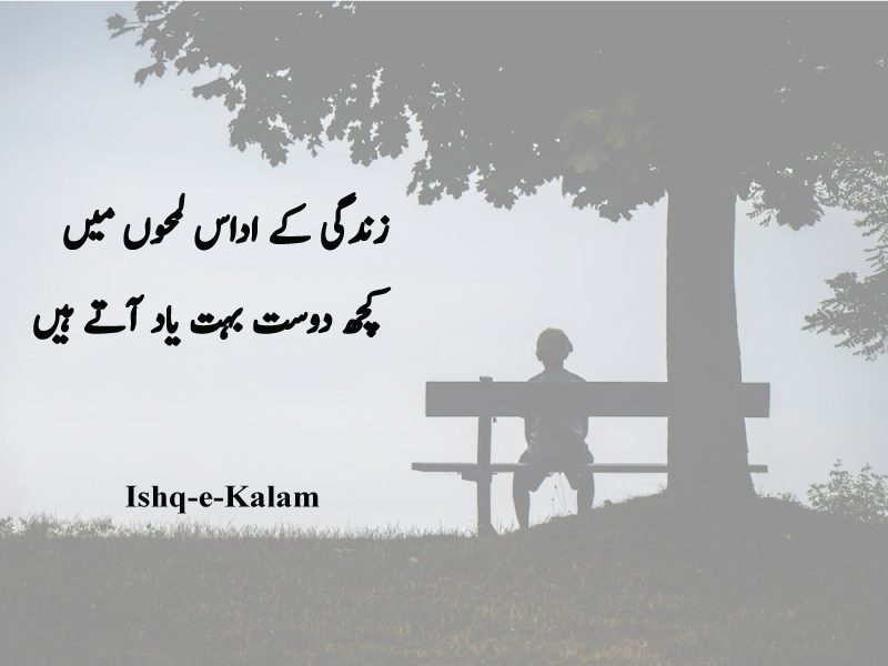 top 10 friendship poetry in urdu