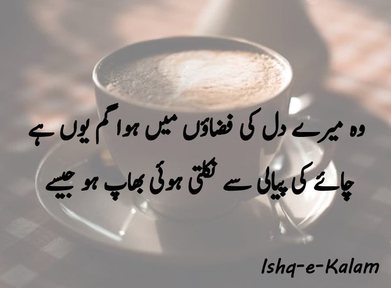 Best Chai shayari in urdu