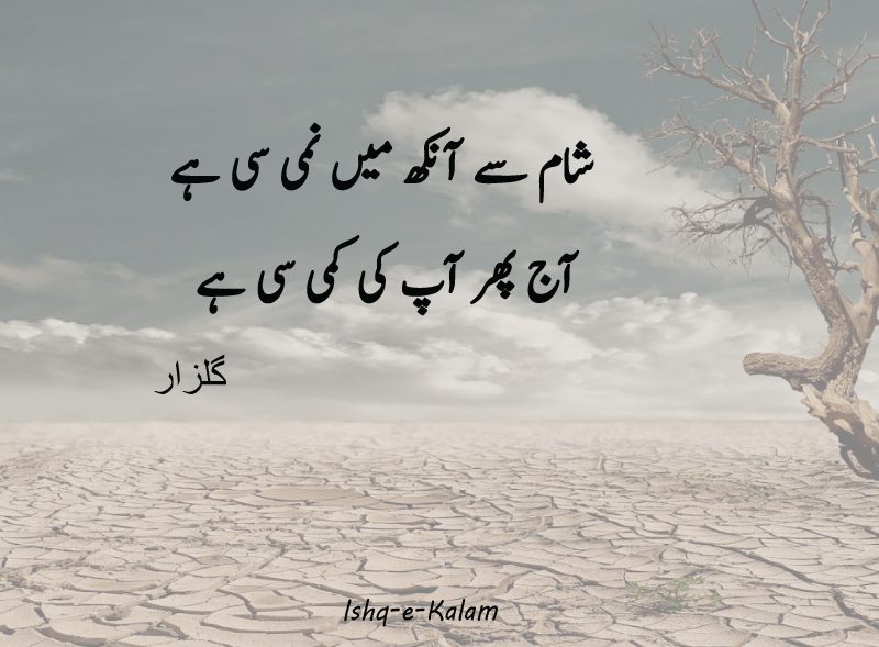 10+ Beautiful Gulzar poetry in urdu 2 line