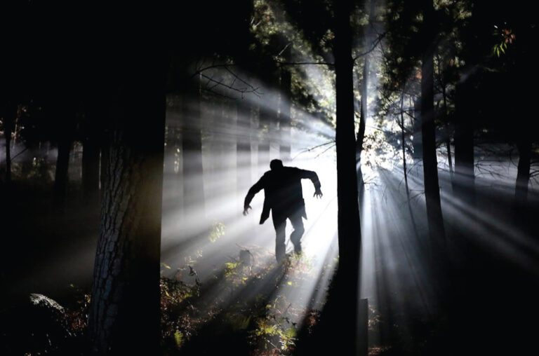 A Terrifying Night in the Forest