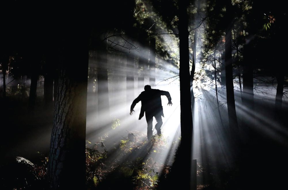 A Terrifying Night in the Forest A Terrifying Night in the Forest
